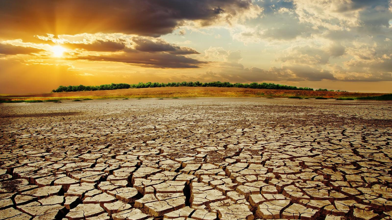Climate Action